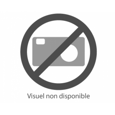 UN04173C ALLUMAGE ESTER BTFS